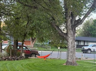 Amanda D.'s lawn service service result