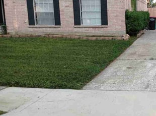 Martha M.'s grass maintenance service result