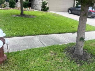 Ross M.'s turf maintenance service result