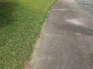 Dana H.'s turf maintenance service result