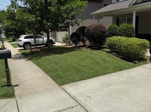 Robert O.'s lawn service service result