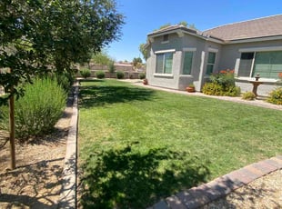 Rodney J.'s lawn service service result
