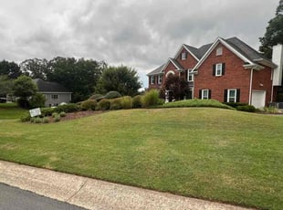 Carlos M.'s lawn maintenance service result
