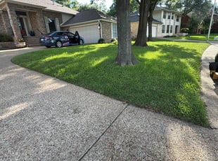 Monique M.'s lawn maintenance service result