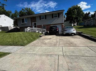 Dean M.'s lawn service service result