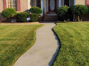Aaron K.'s turf care service result