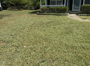 Michael B.'s grass maintenance service result