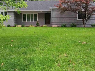 Ami W.'s turf maintenance service result