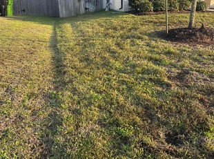 Yash K.'s lawn service service result