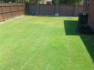 Troy M.'s lawn care service result