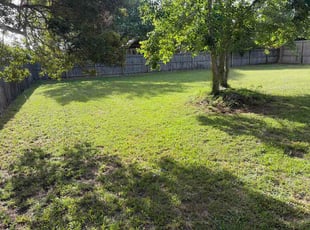 Adam B.'s lawn maintenance service result