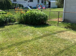 Ryon E.'s Bush Trimming service result