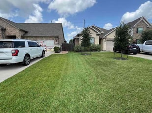 Kevin M.'s lawn maintenance service result