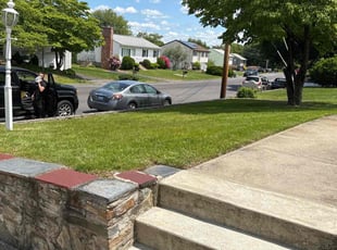 Lou S.'s lawn care service result