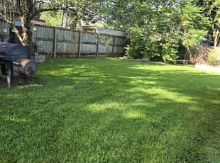 Rosemary D.'s turf maintenance service result
