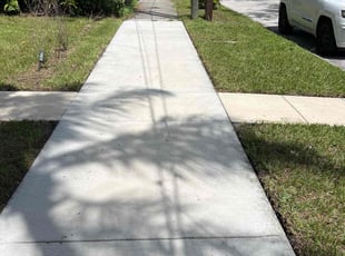 Sara W.'s lawn care service result