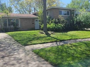 Scarlene A.'s turf care service result