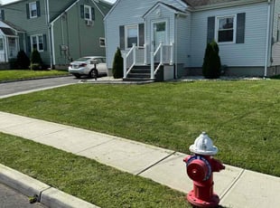 Daniel R.'s lawn care services service result