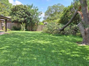 James B.'s lawn maintenance service result