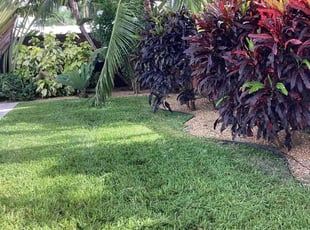 Kanada L.'s grass maintenance service result