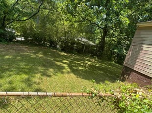 Chris J.'s turf care service result