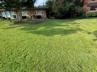 Faustina J.'s residential landscaping service result