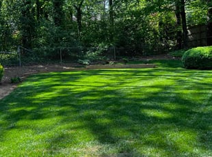 Charles S.'s lawn service service result