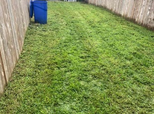 John H.'s turf care service result
