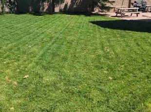 Mary R.'s lawn care service result