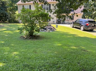 John A.'s yard care service result