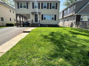 Nidia D.'s lawn service service result