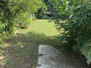 Darryl W.'s turf maintenance service result