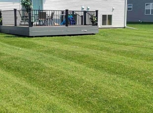 Troy B.'s lawn maintenance service result