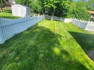 Troy B.'s Bag Clippings service result