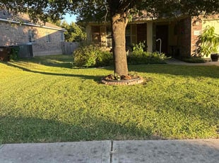 Tom M.'s turf maintenance service result