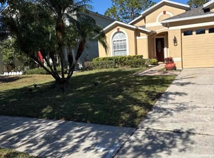 Magna M.'s lawn care service result