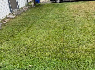Chad A.'s turf maintenance service result