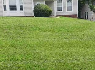 Kimberly M.'s lawn care service result
