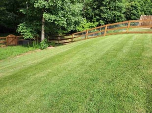 Tajauna C.'s grass maintenance service result