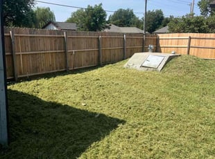 Michelle I.'s turf care service result