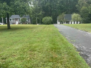Latysha A.'s lawn service service result