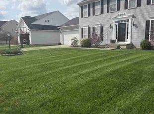 Jeff R.'s turf maintenance service result