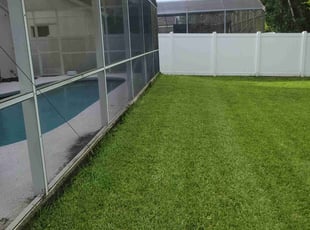 Crystal M.'s grass maintenance service result