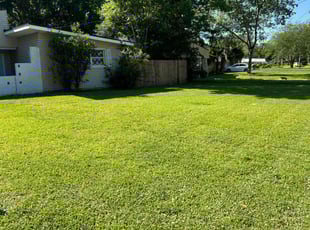 Alicia K.'s lawn care services service result