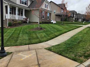 Lollie J.'s turf maintenance service result
