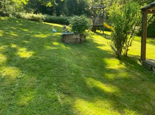 Sophia M.'s turf care service result