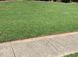 Joyce Z.'s residential landscaping service result