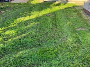 Max R.'s turf care service result