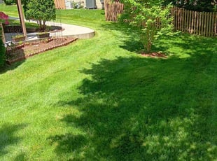 Beth O.'s lawn service service result