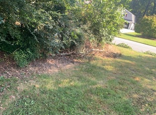 Latosha G.'s Bush Trimming service result